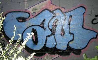 ampinknblue.jpg